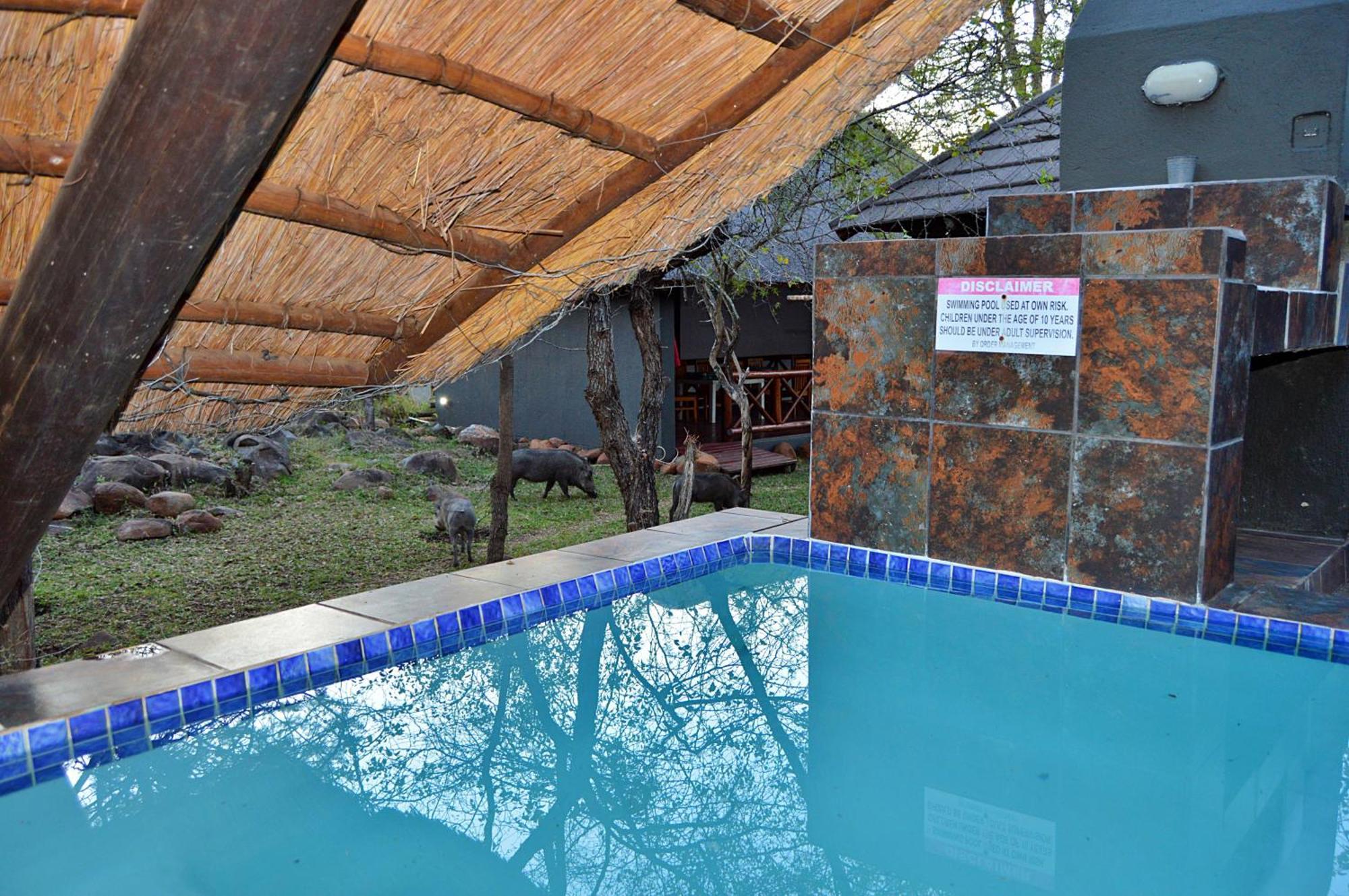 Royal Marlothi Kruger Safari Lodge And Spa Marloth Park Εξωτερικό φωτογραφία