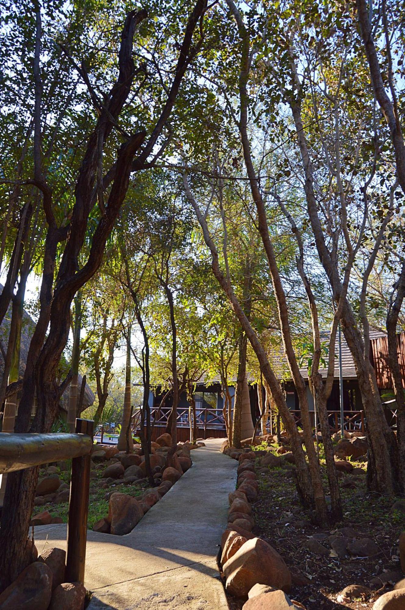 Royal Marlothi Kruger Safari Lodge And Spa Marloth Park Εξωτερικό φωτογραφία